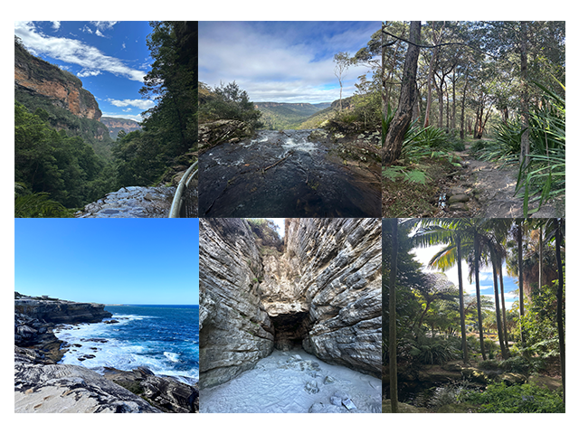 Cozies - Designed in Australia